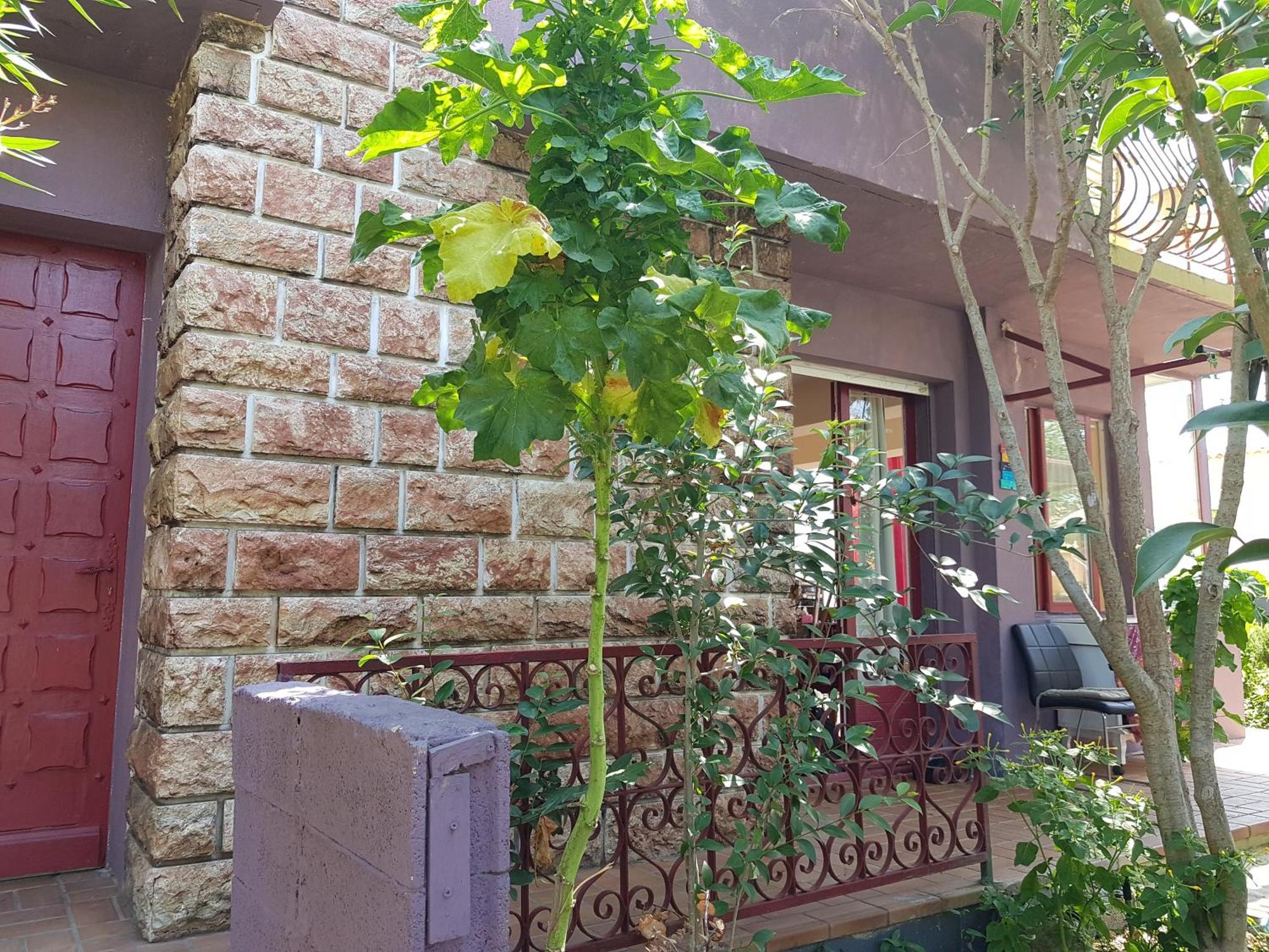 Chambres Privees Maison Jardin Toutes Commodites Partagees Вальрас-Пляж Экстерьер фото
